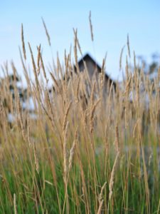 Foto: Capella Ecumenica