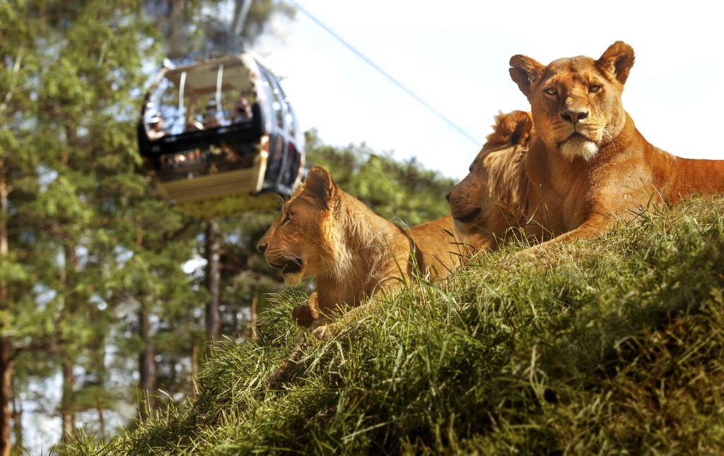 Kolmårdens Djurpark